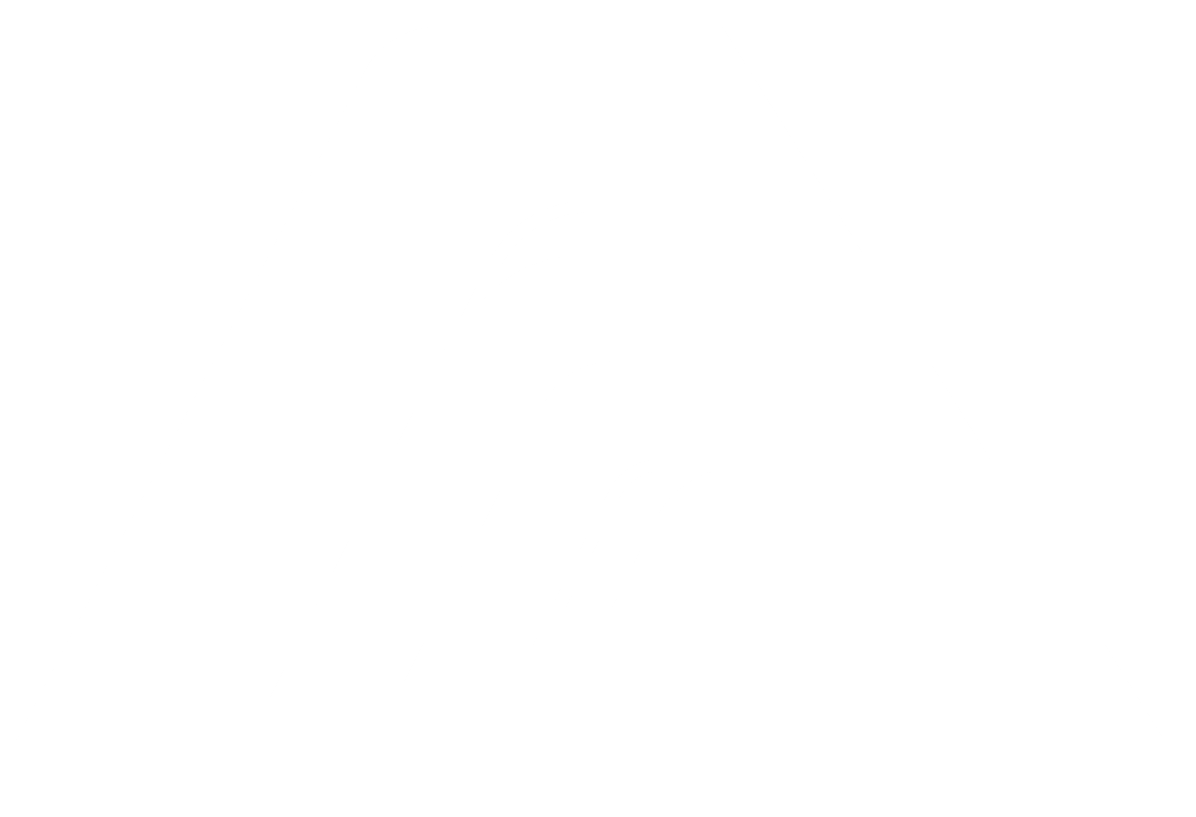 nanoCAD Logo